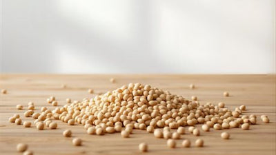 【10/31(木)発売】ソイプロテイン