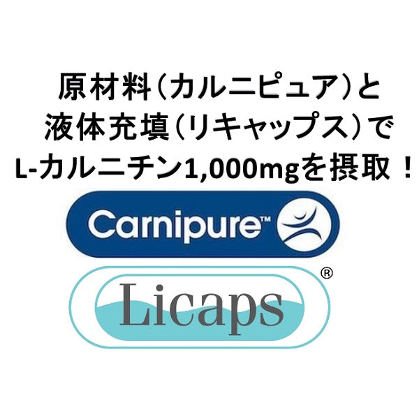 【期間限定｜20％OFF】カルニチンセット