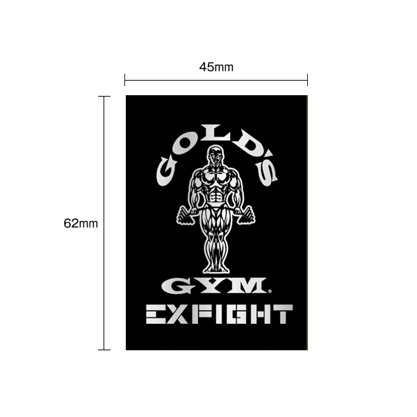 WEB限定】LDH EXFIGHTコラボ ステッカー｜スマホ・PCに｜ゴールドジム