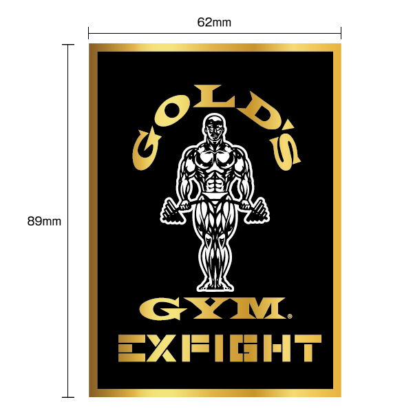 GOLD'S GYM ブラック 限定値下げ　ラストです　残り２日 WEB限定】LDH EXFIGHTコラボ ステッカー｜スマホ・PCに｜ゴールドジム