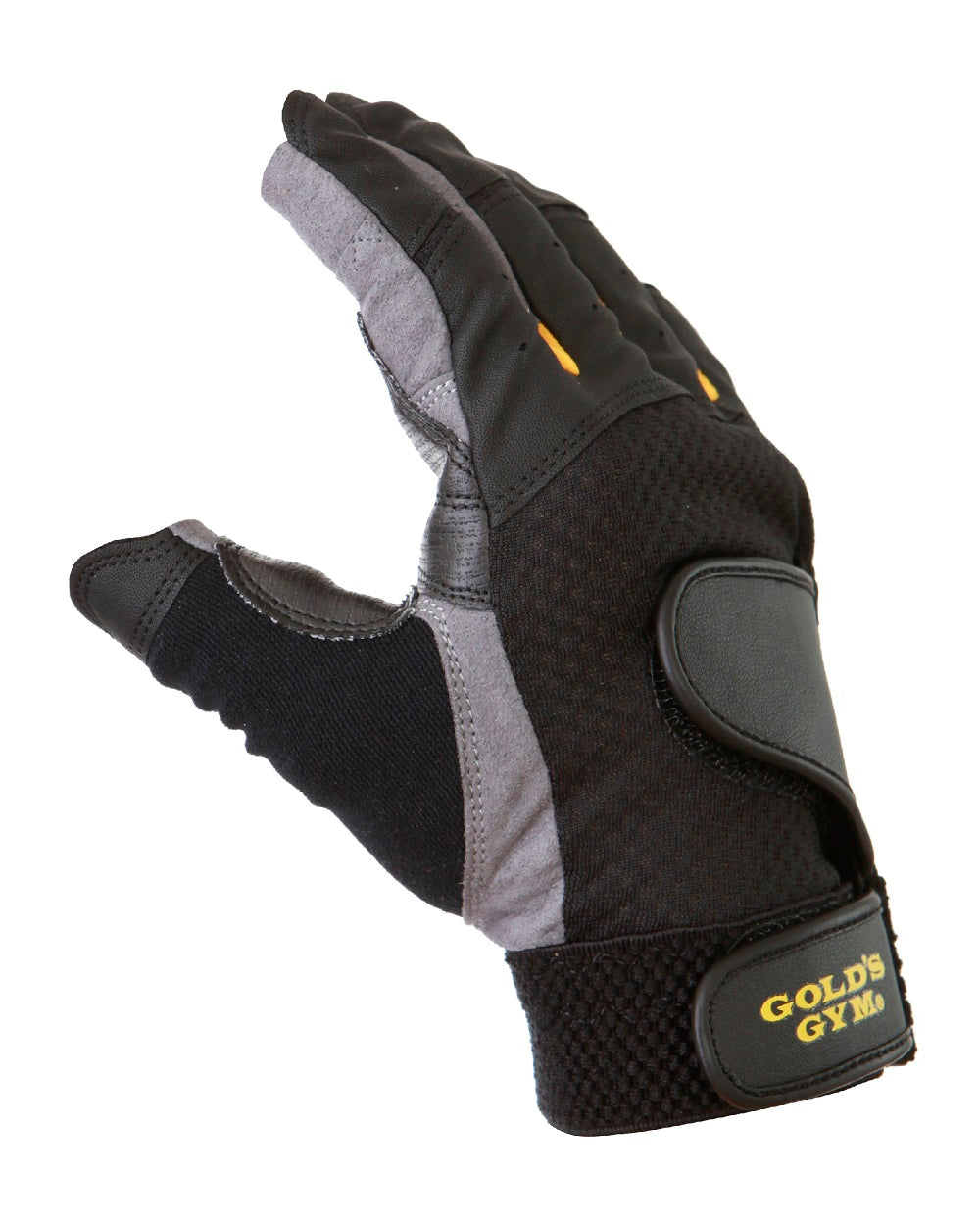 【グローブおまけ】GOLD'S GYM レザーパワーベルト Lサイズ グローブおまけ】GOLD'S GYM レザーパワーベルト Lサイズ